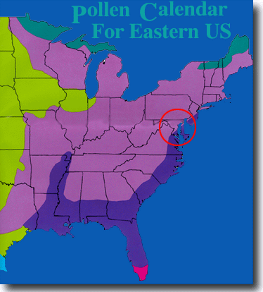 Pollen Map